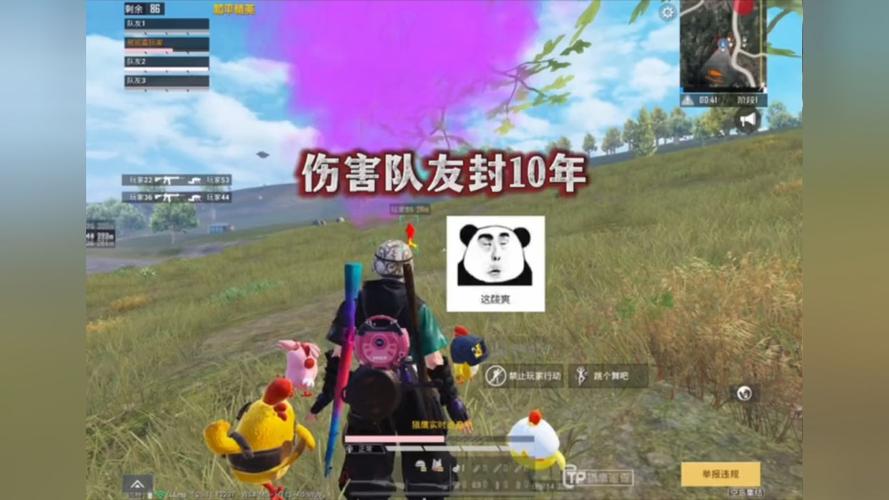 和平精英《天之蓝》辅助